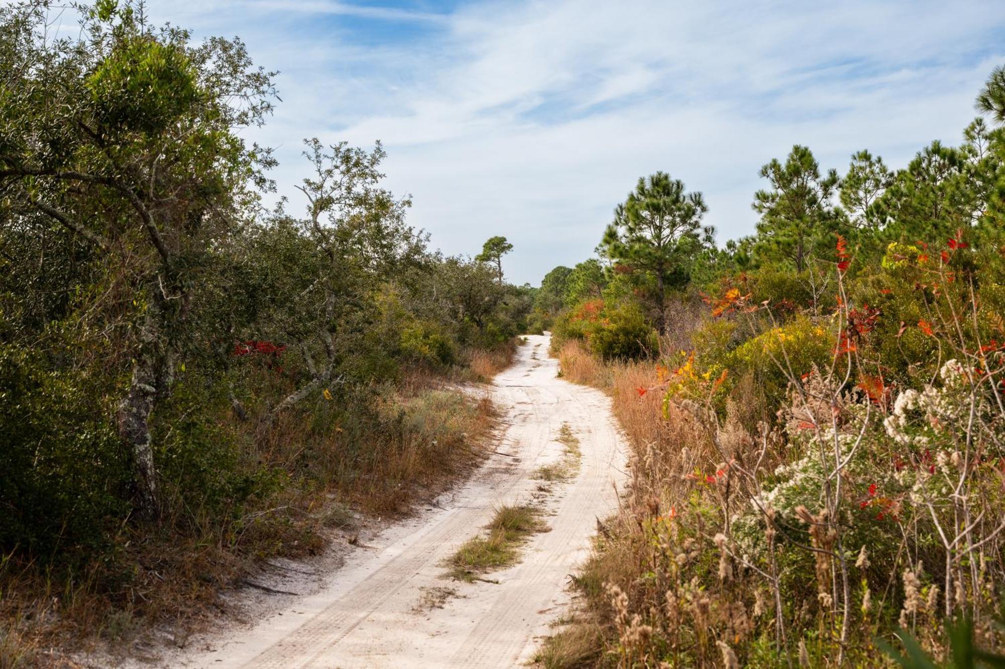Cottage Beach House Steps From Beach 3 Bedroom 2 Bath Gulf Shores Exteriör bild