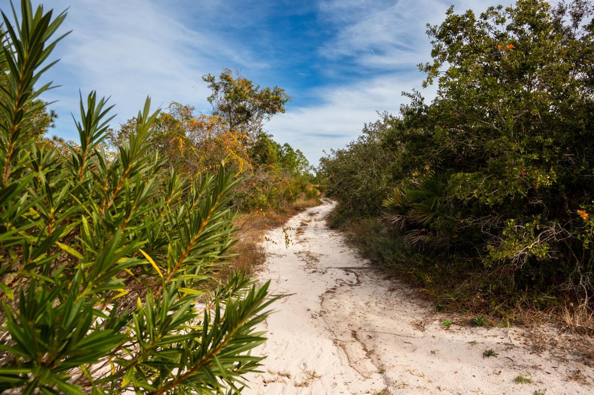Cottage Beach House Steps From Beach 3 Bedroom 2 Bath Gulf Shores Exteriör bild